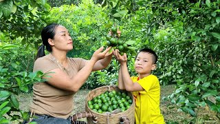 Harvest Lemons goes to the market sell  Orphan boy amp Đặng Lưu [upl. by Musa]