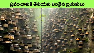 most terrible building and house designs  facts in telugu  telugu  telugu news  top 10 facts [upl. by Nicodemus]