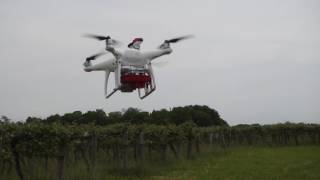 Phantom 4 Pro with Rededge Intergration system installed [upl. by Bernie]