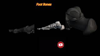 Human leg  Foot Bone  3D Animation 🤔🤔😱😱 [upl. by Enna]