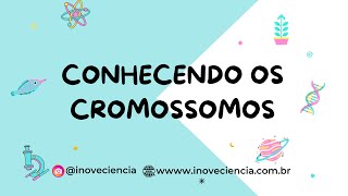 Lapbook  Conhecendo os cromossomos [upl. by Adnuhsed]