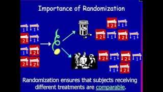 Why Randomization Is Important [upl. by Ailongam419]