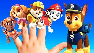 PAW PATROL Kids Song BEST Nursery Rhymes For Children  Keiki Kids Songs [upl. by Renwick659]