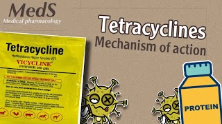 Proteins synthesis inhibitors  Tetracyclines  mechanism of action  MedS [upl. by Chansoo]