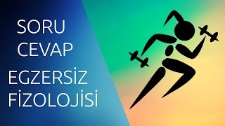 EGZERSİZ FİZYOLOJİSİ SORU CEVAPEndokrin Sisteme kadar [upl. by Hadleigh]