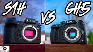 Panasonic S1H VS Panasonic GH5 Is 6k Worth THREE Times the Price [upl. by Elleinod]