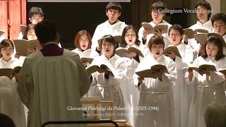 Palestrina Sicut Cervus  Collegium Vocale Seoul 콜레기움 보칼레 서울 [upl. by Ferri447]