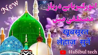 anwar e kibriya hai darbar e mustafa mekhubsurat lehja sunehabibul tech [upl. by Terbecki]