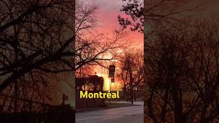 Sunrise Montreal [upl. by Neilla]