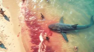 This Shark Attack Will Make You Think Twice About Swimming [upl. by Amaral]