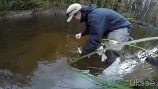 A day in the life Ucluelet British Columbia Canada [upl. by Helgeson]