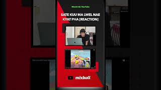 စိတ်ကူးမလွဲနဲ့  Kyat Pha Reaction fyp fypシ゚viral reaction mixbull viraltiktok [upl. by Sessler]