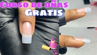 CLASE1 como aplicar uñas de acrílico para principiantestip natural [upl. by Dranel]