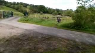 Peter Mogfords Bike Fall [upl. by Walter67]