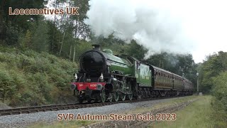 Severn Valley Railway Autumn Steam Gala 2023 [upl. by Treboh]