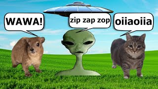 Hyrax and oiiaoiia spinning cat vs Alien Speaking Meme [upl. by Hcab]