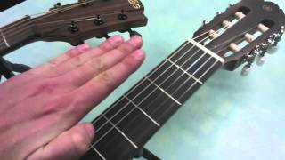 Steel String Vs Classical Guitar  Spot the Differences [upl. by Relyuhcs901]