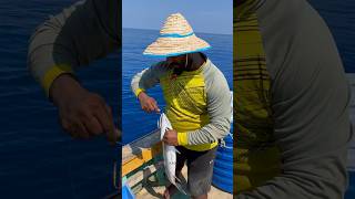 Longline fishing video thenkadalmeenavan fishing shorts [upl. by Anatlus]