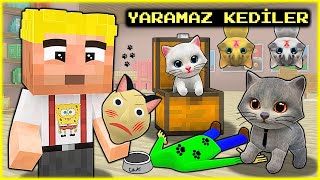 EFEKAN VE KEDİLERİ YARAMAZLIK YAPIYOR 😂  Minecraft [upl. by Aratahc]