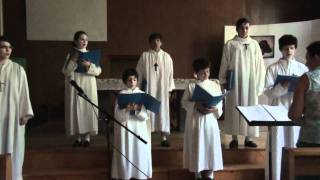 SACRIS SOLEMNIS    Petits chanteurs de St Martin d´Oullins [upl. by Nelyak]