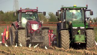 John Deere 8260 R amp McCormick X8680  Maschio Artiglio subsoiler  Cab view amp engine sound [upl. by Nosmirc]