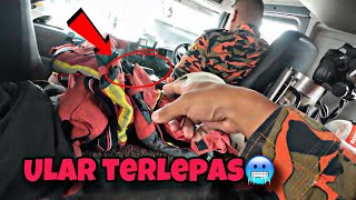 💢ULAR TERLEPAS DALAM LORI BOMBA‼️😱ULAR APA TU [upl. by Alphard]