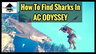 Assassins Creed Odyssey  HOW amp WHERE TO FIND SHARKS Spawn Locations For Sharks In AC Odyssey [upl. by Hailat]