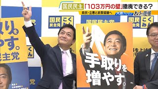 『１０３万円の壁』撤廃できる？国民民主・玉木代表「（撤廃を）全くやらないっていうことであれば、われわれは協力できない」と与党を牽制（2024年11月1日） [upl. by Penland]