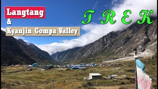 The Complete Trek to Langtang from Kathmandu  Kyanjin Gompa Village amp Tsergori Summit [upl. by Anawk]