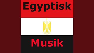 Traditionelle egyptisk musik [upl. by Fiertz311]