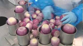 How Its Made  Onions Gills Onions [upl. by Yecies]