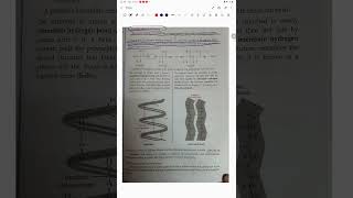 Secondary structure of proteins biomolecule biomolecules protein [upl. by Eugenides]