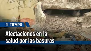 Consecuencias en la salud por las basuras y orina de ratones  El Tiempo [upl. by Quartet872]