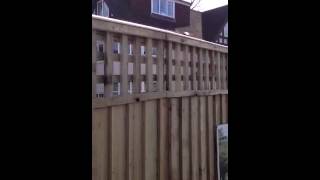 Feather edge and tight weave trellis fencing [upl. by Ecnerol]