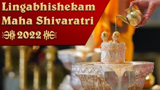 Maha Shivaratri 2022  Lingabhishekam and Message from Sadguru Sri Madhusudan Sai  01 March 2022 [upl. by Cott]