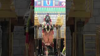 Namakkal Anjaneyar Kovil god [upl. by Adehsar285]