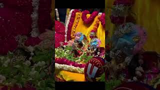 tatvan ke tatva jagjivan shri krishna chandra song shortsvideo viral shorts vrindavan krishna [upl. by Eentihw]