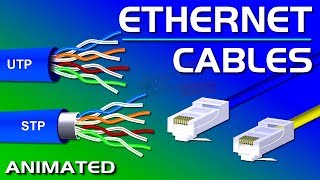 Ethernet Cables UTP vs STP Straight vs Crossover CAT 55e678 Network Cables [upl. by O'Rourke]