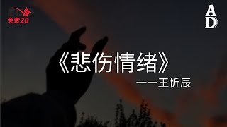 悲傷情緒  王忻辰『悲傷情緒 將你我都漸漸地淹沒 過去你我 黑夜白晝都無話不說』【高音質動態歌詞Pinyin Lyrics】 [upl. by Anceline]