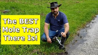 Nash Mole Trap  The BEST Mole Trap Ever [upl. by Suirauqed39]