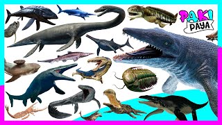 ¡ANIMALES MARINOS PREHISTÓRICOS PARTE 2  Prehistoric Sea Animals  Mosasaurio Plesiosaurio [upl. by Hooke]