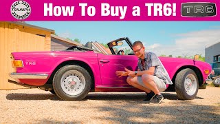 Triumph TR6 Buying Guide  EVERYTHING To Know About The British Brute Sports Car [upl. by Maillliw24]