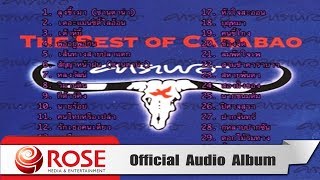 THE BEST OF CARABAO  คาราบาว Official Audio Album [upl. by Teodora620]