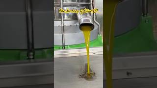 The Journey of Olive Oil olive oliveoil [upl. by Ymiaj]