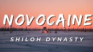 Shiloh Dynasty  Novocaine Lyrics [upl. by Salzhauer]