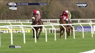 4 Race Cheltenham Cotswold ChaseG2win CAPODANNO 27th January 2024 [upl. by Bratton443]