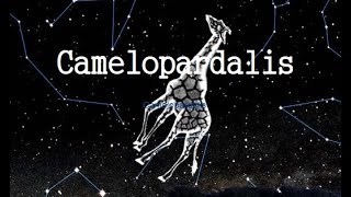 The Camelopardalis constellation Information history [upl. by Rillings]