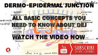 DERMOEPIDERMAL JUNCTION [upl. by Sewoll]
