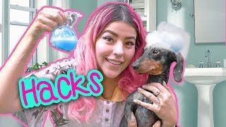 DOG HACKS  MUSAS LESSLIE LOS POLINESIOS [upl. by Baudelaire968]