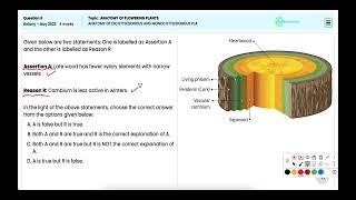 NEET Botany 2023  Question 6 Comparing Dicots and Monocots Expert Insights [upl. by Addia]